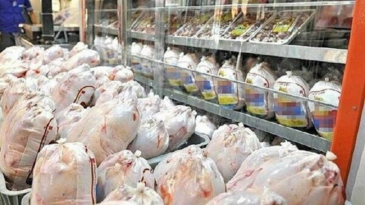 از مازندران تا سفره‌های ایران؛ تداوم عرضه مرغ به بازار‌های کشور