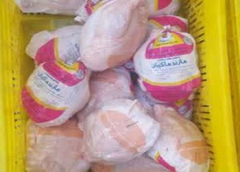 تشدید نظارت‌ها بر بازار مرغ در بهشهر
