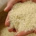 جریمه تاوان تخلیط برنج