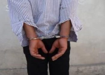 عامل چاقوکشی در ساحل دارایی محمودآباد دستگیر شد