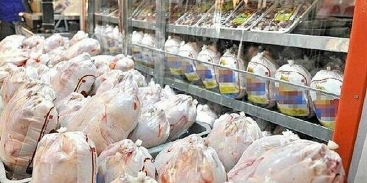 مرغ مازندران روانه بازار کشور شد