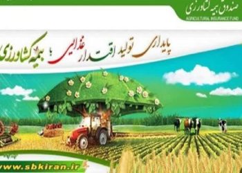 پرداخت ۷۳ میلیارد ریال غرامت بیمه به کشاورزان خسارت‌ دیده گلوگاهی