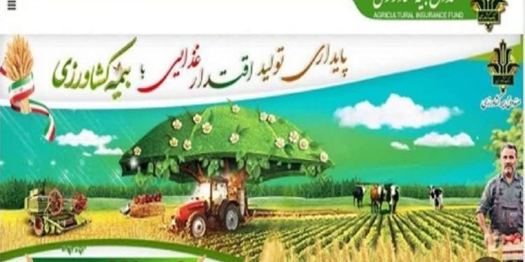 پرداخت ۷۳ میلیارد ریال غرامت بیمه به کشاورزان خسارت‌ دیده گلوگاهی