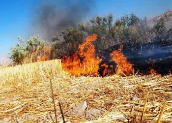 آسمان بابل در دودِ کاه و کلش