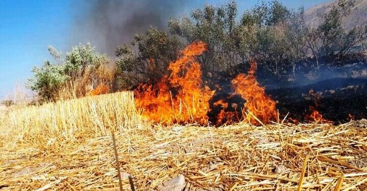 آسمان بابل در دودِ کاه و کلش
