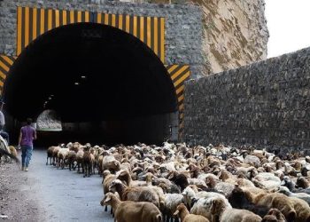 بسته بودن جاده چالوس