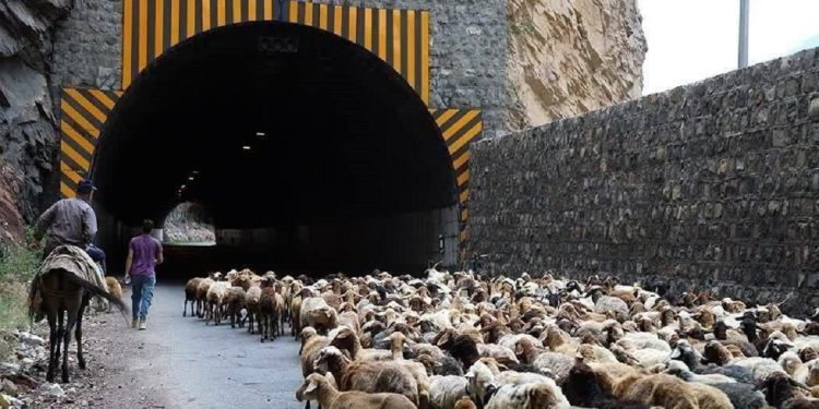 بسته بودن جاده چالوس