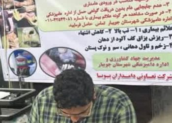 توصیه به دامداران؛ پایش و هشدار مستمر علیه بیماری تب برفکی در جویبار