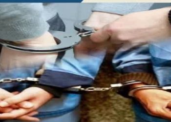 دستگیری و بازداشت موقت قاچاقچیان حرفه‌ای قطع درختان هیرکانی