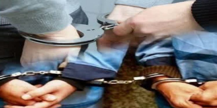 دستگیری و بازداشت موقت قاچاقچیان حرفه‌ای قطع درختان هیرکانی