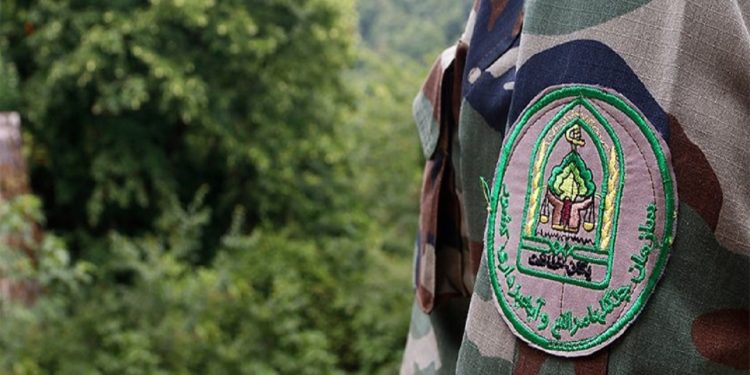 سوءقصد به جان ماموران منابع طبیعی شهرستان نور