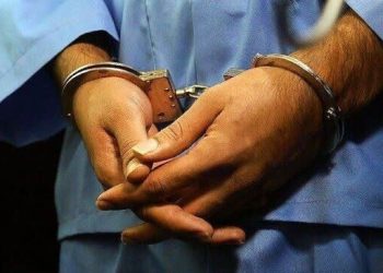 عوامل تیراندازی به مأموران منابع طبیعی نور بازداشت شدند