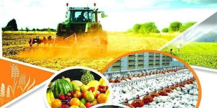 مازندران قطب امنیت غذایی کشور است