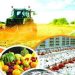 مازندران قطب امنیت غذایی کشور است