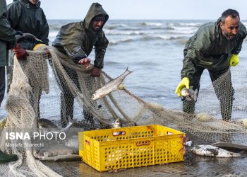 پهنه آبی مازندران سفره صیادان را به کسادی برد