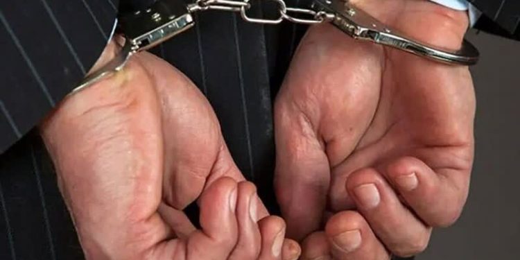 کارمند متخلف منابع طبیعی نکا به اتهام اخذ رشوه روانه زندان شد