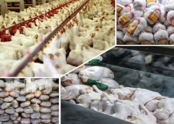 گران فروشی ،کار دست ۴ واحد عرضه مرغ در بهشهر داد