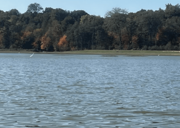 کاهش بارشها موجب کمآبی دریاچه الندان شده است