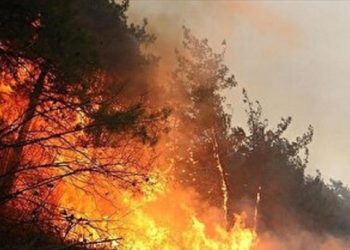 آتش الیت دوباره شعله ور شد