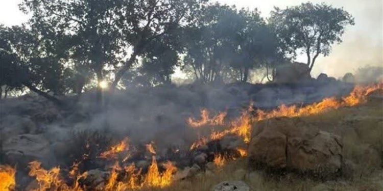 آتش بی‌احتیاطی گردشگران در جنگل‌های هیرکانی سوادکوه مهار شد