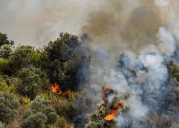 آتش در مرتع «پی‌کمر» آمل خاموش شد