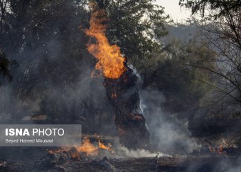 آتش منطقه الیت کمتر از ۸ هکتار شده است