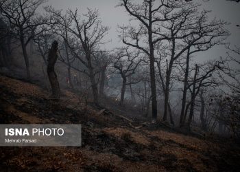 آتش‌سوزی جنگل‌های الیت مهار شده است