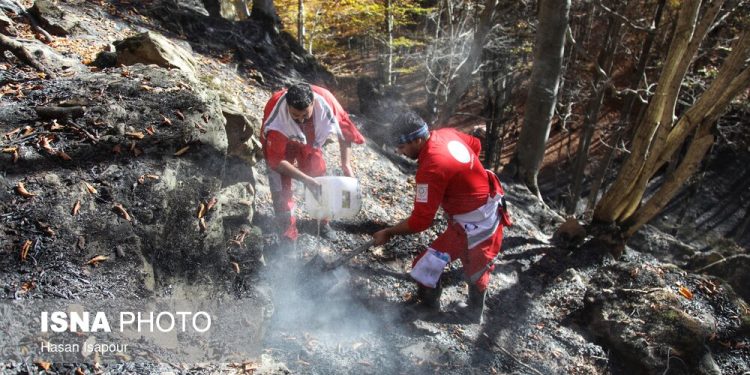 آتش‌سوزی دوباره جنگل‌های کارمزد سوادکوه مهار شد