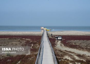 آخرین نفس‌های بزرگ‌ترین خلیج خزر