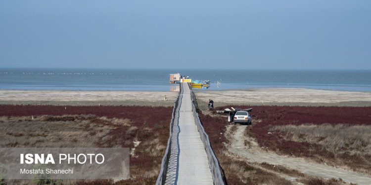 آخرین نفس‌های بزرگ‌ترین خلیج خزر