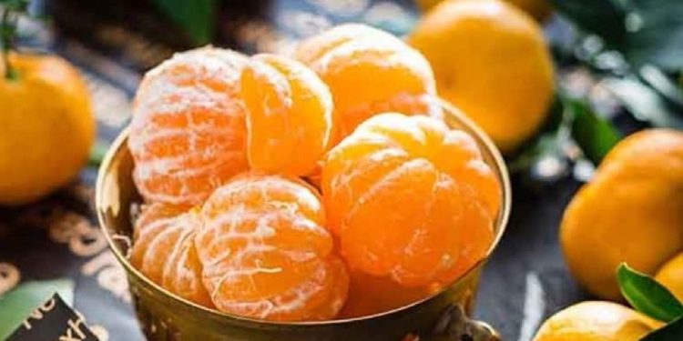 آغاز برداشت نارنگی‌های زودرس از باغات شهرستان نور؛ تولید ۷۵۰۰ تنی