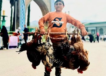 احیای سنتی دیرپا در شهر هولار برای رونق اقتصادی و اشتغال جوانان