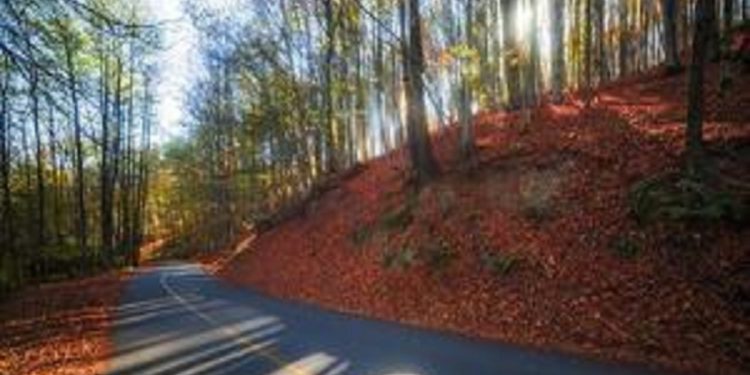 ادامه روز‌های بدون بارش در مازندران