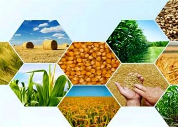 از تولید ۲۳۸ تن عسل در سوادکوه تا تولید شیرخام از دامداریهای قائمشهر