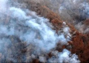 افزایش آتش‌سوزی در منطقه الیت؛ ۳۵ تیم عملیاتی و سه بالگرد در تلاش برای مهار حریق