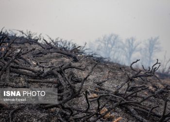 انسداد کامل مسیرهای منتهی به جنگل‌ها توسط دهیاران 