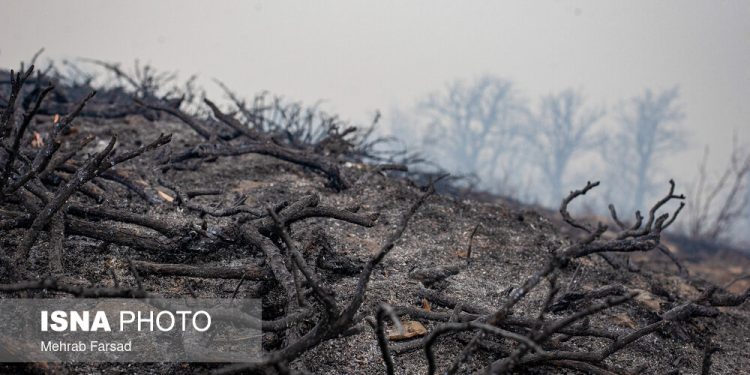 انسداد کامل مسیرهای منتهی به جنگل‌ها توسط دهیاران 