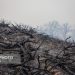 انسداد کامل مسیرهای منتهی به جنگل‌ها توسط دهیاران 