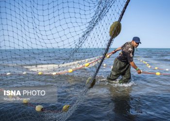 ایسنا - صید ماهی به روش پره در ساحل گهرباران