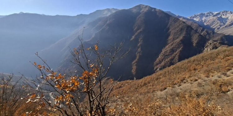 بازدید نمایندگان مجلس از مناطق آسیب‌دیده آتش‌سوزی جنگل‌های الیت