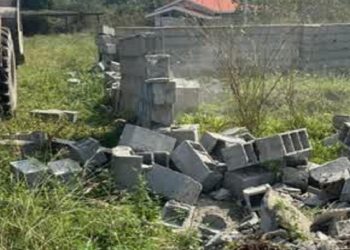 بازگشت ۴۲ هزار متر مربع از اراضی کشاورزی تنکابن به چرخه تولید