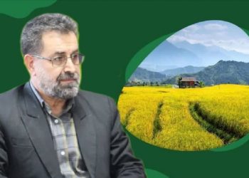 توانمندسازی کشاورزان مازندران؛ اجرای بیش از ۲۶ هزار نفر‌روز آموزش مهارتی