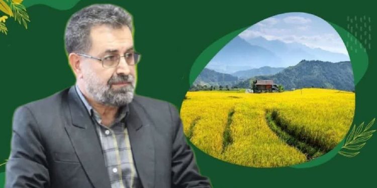 توانمندسازی کشاورزان مازندران؛ اجرای بیش از ۲۶ هزار نفر‌روز آموزش مهارتی