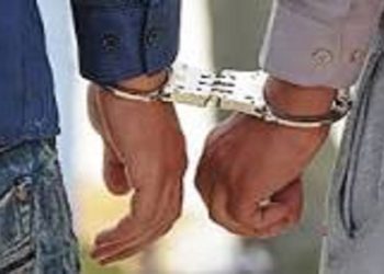 دستگیری اعضای باند سارقان اماکن خصوصی در محمودآباد