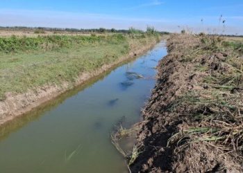 رئیس اداره منابع آب ساری و میاندورود: هشت کیلومتر از کانال انتقال آب میانشاه ساری لایروبی شد