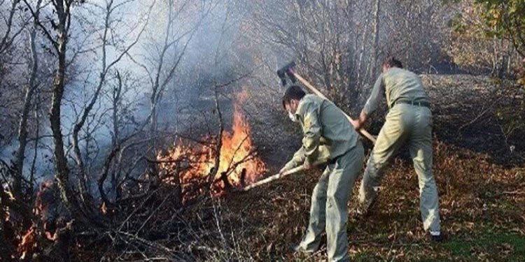 رئیس اداره منابع طبیعی و آبخیزداری شهرستان: ۲۰۰۰ هکتار از جنگل‌های سوادکوه در آتش سوخت