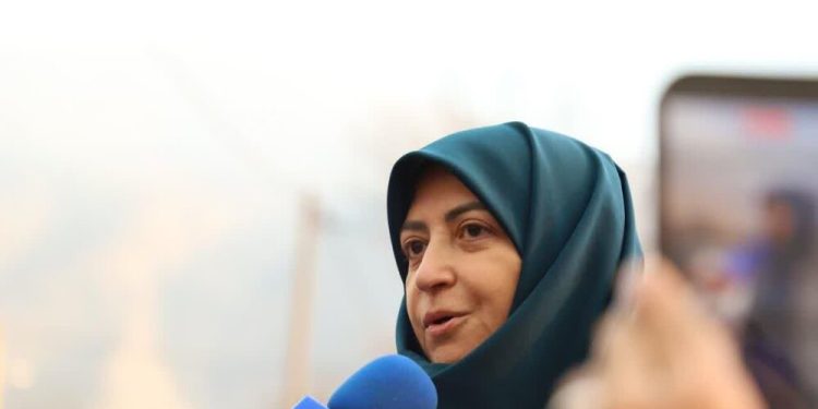 رئیس سازمان حفاظت محیط‌زیست: ظرفیت‌های ملی و بین‌المللی برای مهار آتش‌سوزی جنگل‌های مرزن‌آباد بسیج شدند