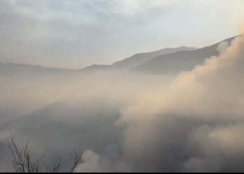 رئیس منابع طبیعی کشور: طبق برآورد میدانی و تصاویر ماهواره‌ای ۸ هکتار جنگل الیت درگیر آتش‌سوزی است