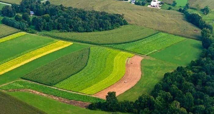رئیس کل دادگستری: بیش از ۲۰۰۰ هکتار از اراضی ملی مازندران رفع تصرف شد
