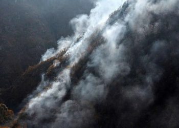 رئیس کل دادگستری مازندران: قصور مسئولان در مهار آتش «الیت» پیگرد قضایی دارد